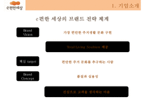 대림건설 - e편한세상 서비스마케팅-5