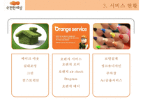대림건설 - e편한세상 서비스마케팅-8