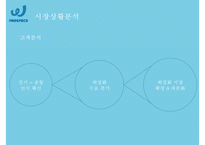 PROSPECS W 워킹화 시장에서의 마케팅 전략 제안-8
