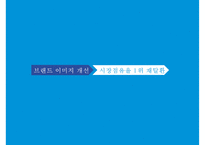 피죤 시장점유율 1위 회복을 위한 커뮤니케이션전략[주부고객 대상 향수자극 IMC마케팅]-12