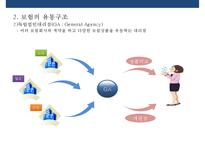 국내 보험의 유통구조 특징 및 문제점 개선전략-8