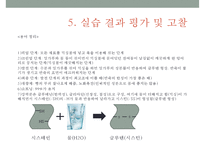 농산 식품가공학 실습 - 식빵 제조와 글루텐 측정-12