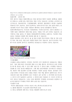 중국문화의 이해 - 중국의 전통 놀이 문화-2