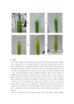 일반화학 실험 - Autocatalysis(자체 촉매 반응)-3