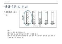 환경분석실험 - 침전 Ⅲ, Ⅳ형-7