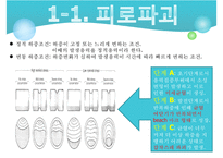 기계 재료실험 - 피로시험-4