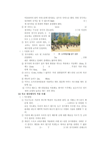 체육수업 - 뉴스포츠 종목을 통한 체육교육-3