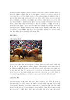 한국의 축제와 일본의 마츠리 비교 분석-2