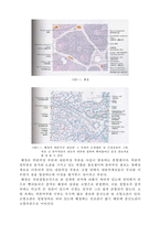 동물 조직학 - 입에서 항문에 이르기까지의 소화기계통을 조직학적으로 정리-10