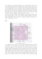 동물 조직학 - 입에서 항문에 이르기까지의 소화기계통을 조직학적으로 정리-11
