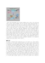 생물학 - 미생물의 유전에 관해서-6