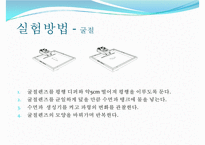 실험보고서 - 수면파실험-10