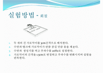 실험보고서 - 수면파실험-12