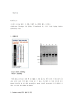 일반생물학 실험 - Restriction Enzyme Digestion-3