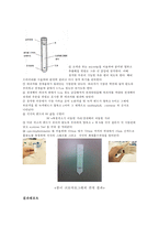 일반생물학 실험 - 광합성 색소의 분리-2