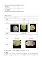 일반생물학 실험 - 기공개폐(The Mechanisms of Stomatal Opening)-3