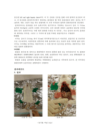 일반생물학 실험 - 생쥐의 해부(Anatomy of Animals)-4