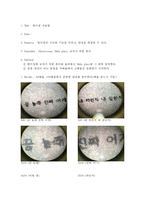 현미경 사용법 - 현미경의 구조와 기능을 익히고, 대상을 측정-1