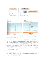 화학 공학 - 핵자기 공명 분광법(NMR)-7