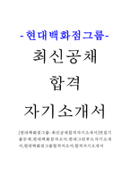 [현대백화점그룹-최신공채합격자기소개서]면접기출문제,현대백화점자소서,현대그린푸드자기소개서,현대백화점그룹합격자소서,합격자기소개서-1