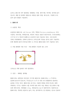 초지학D형 2017년-1) 오처드그래스 2) 톨페스큐 3) 화이트클로버 4) 망초 5)소 리쟁이, 제시한 5가지 목초 및 목초지 잡초에 대해, 아래의 내용을 설명하시오. 초지학 1.보통명(Common name), 학명(속명, 종명) 2.직접 촬영한 식물 사진 3.성상(재배법, 방제법)- 초지학4D 2017학년도 1학기 과제물 레포트-5