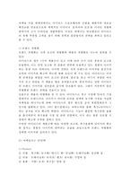 [아디다스 글로벌마케팅사례] 아디다스 SWOT분석과 마케팅전략과 국제경영전략분석석및 아디다스 미래방향제언-13