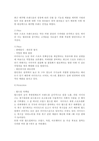 [아디다스 글로벌마케팅사례] 아디다스 SWOT분석과 마케팅전략과 국제경영전략분석석및 아디다스 미래방향제언-14