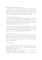 아시아나항공 SWOT분석-3
