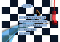 청소년 성문제와 성상담-2