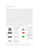 아웃백 기업분석과 아웃백 4P,STP,SWOT분석 다양한 마케팅사례분석과 아웃백 향후전략제언-4