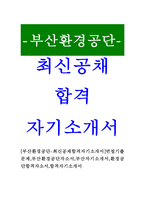 [부산환경공단-최신공채합격자기소개서]면접기출문제,부산환경공단자소서,부산자기소개서,환경공단합격자소서,합격자기소개서-1