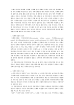 사회복지관 레포트-2