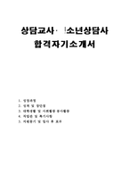 청소년상담사자소서 청소년상담사자기소개서 상담사합격자소서 자기소개서청소년상담사자소서 청소년상담사자기소개서,전문상담교사자기소개서,상담심리사 자소서-1