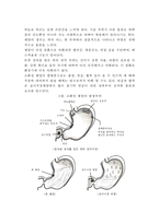 [소화성궤양] 소화성 궤양의 발생원인과 증상 및 치료방법(식사요법, 식이요법)-5