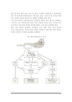 [빈혈] 빈혈의 원인과 증상, 빈혈의 종류(철결핍성 빈혈, 거적아구성 빈혈, 재생불량성 빈혈, 용혈성 빈혈)-6