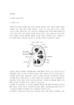[신장질환] 신장의 구조와 기능, 신장질환의 일반적인 증상, 신장질환 환자의 영양관리-2