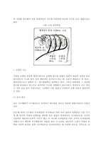[신장질환] 신장의 구조와 기능, 신장질환의 일반적인 증상, 신장질환 환자의 영양관리-3