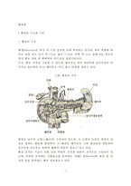 [췌장염] 급성 췌장염 및 만성 췌장염의 원인과 증상 및 치료방법(식이요법-식사요법), 췌장의 구조와 기능-2