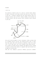 [위장질환] 위의 구조와 기능, 위장질환(위질환)의 종류(급성위염과 만성위염), 소화성 궤양, 위암 - 위 질환의 증상과 치료 및 식이요법-2