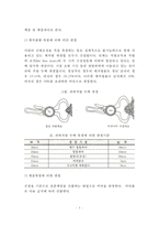 비만의 개념과 특징, 비만의 종류(유형)와 요인(비만원인), 비만증의 판정(비만검사), 다이어트를 위한 식이요법(식사요법)-5