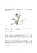 [내분비질환] 내분비계 질환 - 내분비계의 종류와 특성, 내분비계 질환의 원인과 증상 및 치료방법(뇌하수체질환, 부신피질호르몬결핍증, 갑상선 질환)-5