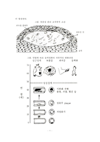 [동맥경화증] 동맥경화증의 원인(요인)과 증상, 동맥경화증의 정의와 종류(분류), 동맥경화 치료방법(식이요법)-8