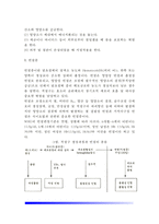 [빈혈증] 빈혈의 일반증상과 식이요법, 빈혈의 종류 및 치료(철결핍성 빈혈, 거대적아구성 빈혈-악성 빈혈), 기타의 혈액질환(재생불량성 빈혈, 백혈병, 혈우병)-4
