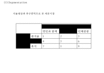 EVERLAND 에버랜드 성공비결과 에버랜드 마케팅 SWOT,STP,4P전략분석및 에버랜드 문제점과 해결방안연구 PPT-13