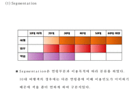 아시아나항공 성공비결과 아시아나항공 마케팅사례분석및 아시아나항공 향후방향제언 PPT-17