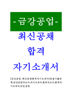 [금강공업-최신공채합격자기소개서]면접기출문제,금강공업자소서,자기소개서,합격자소서,합격자기소개서,금강,공업-1