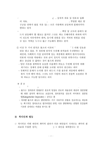 노직의 정의이론(맥시민과 평등) 요약(현대자유주의 정치철학의 이해 장동진 저)-3