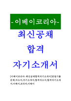 [이베이코리아-최신공채합격자기소개서]면접기출문제,자소서,자기소개서,합격자소서,합격자기소개서,이베이,코리아,이배이-1