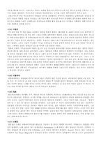 [대중문화론] 현대의 크리스마스의 의미-7