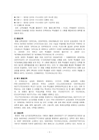 싱가포르문화의 이해-5